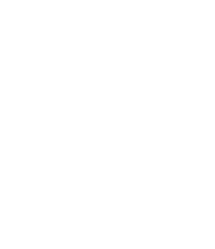 Logo FVN Consultores